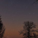 silhouette of trees under starry night